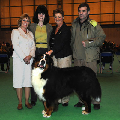 Adesa, Legecium and Stokerybos at Crufts 2009